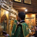 Photo 07